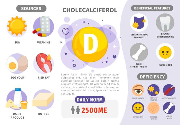 infografik vitamin d. - symbol vegetable food computer icon stock-grafiken, -clipart, -cartoons und -symbole