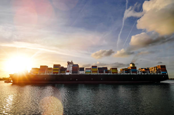 istock Giant cargo ship and its tugs 1131554142