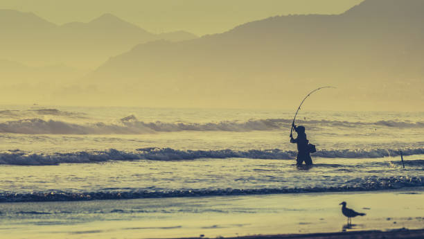 istock Lonely fisherman surf casting 1131554155