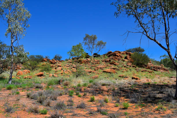 istock Australia, Northern Territory, Alice Springs 1131555416