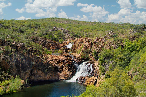 australia, nt, parque nacional nitmiluk - catherine park fotografías e imágenes de stock