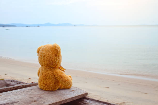 Teddy bear toy looking on sea