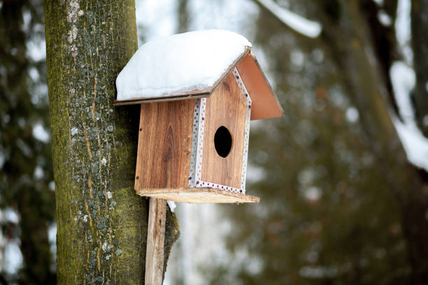 istock Feeder for birds in snow in winter forest 1131559477