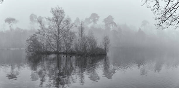 Island On The Misty Lake