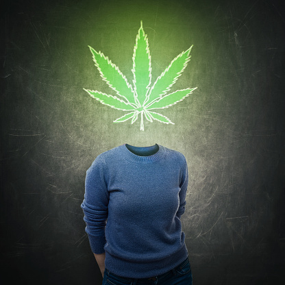 Surreal portrait anonymous young woman with marijuana leaf symbol instead head isolated over dark blackboard background. Cannabis legalization as medical drug. CBD healing social issue concept.