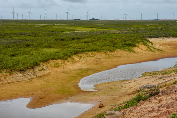 istock Windmills on a field near Atins, Brazil 1131562351