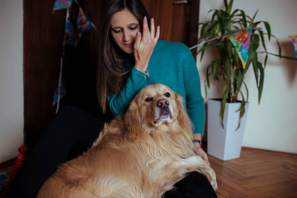 istock Celebrating a birthday to my dog 1131563173