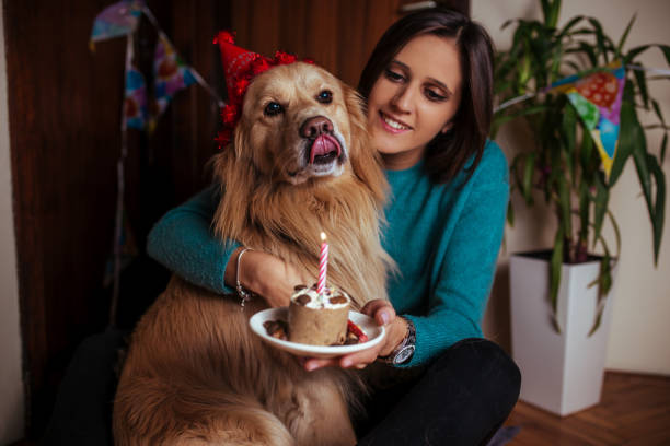 istock Celebrating a birthday to my dog 1131564409