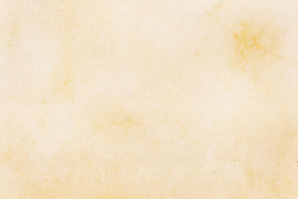 istock Old vintage light beige paper parchment texture background 1131567484