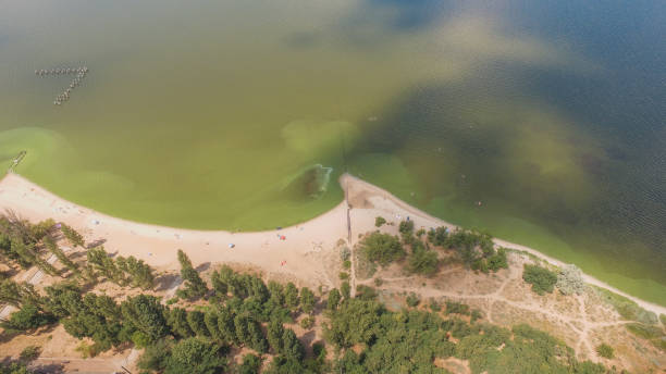 istock Aerial view green river shore in sunny day 1131567692