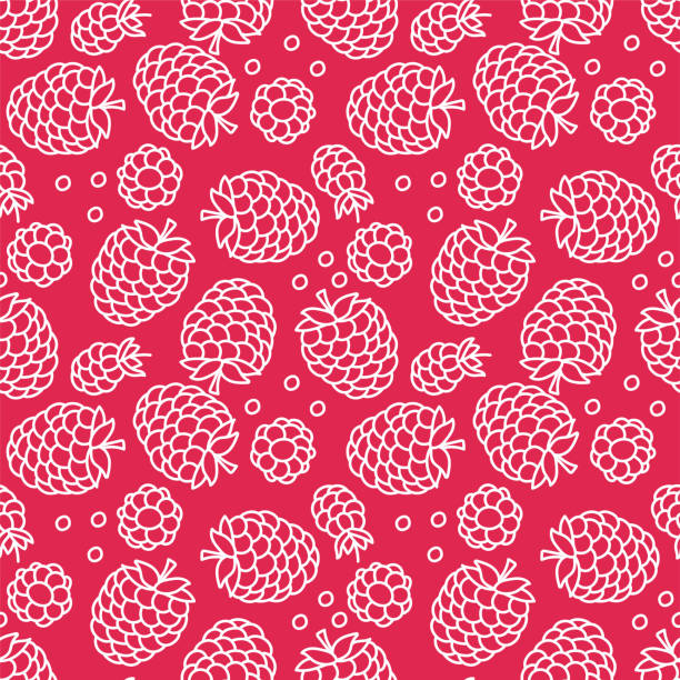 himbeere nahtloses muster. hand gezeichnetes frisches obst. vektorskizze hintergrund. farbe doodle tapete. rote beere druck - raspberry stock-grafiken, -clipart, -cartoons und -symbole