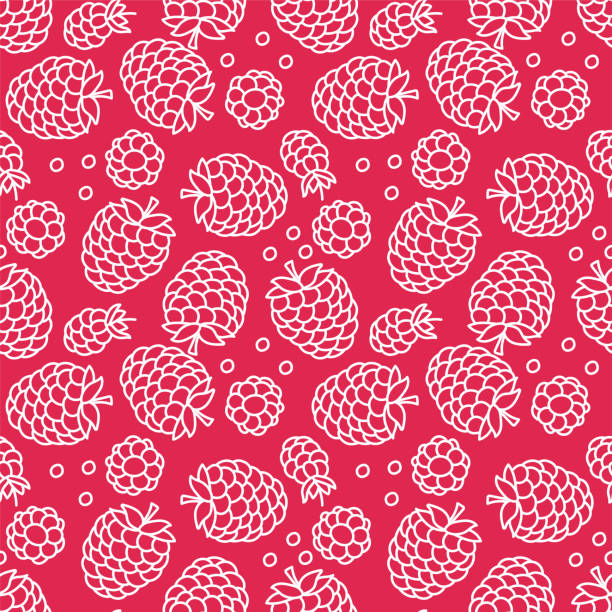 ラズベリーシームレスパターン。手描きの新鮮な果物。ベクトル スケッチの背景。色の落書きの壁紙。レッドベリープリント - ラズベリー点のイラスト素材／クリップアート素材／マンガ素材／アイコン素材
