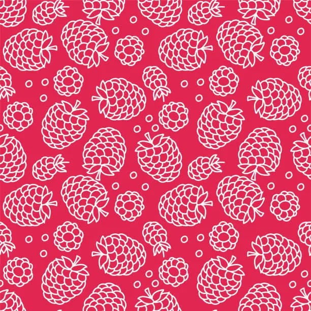 Vector illustration of Raspberry seamless pattern. Hand drawn fresh fruit. Vector sketch background. Color doodle wallpaper. Red berry print