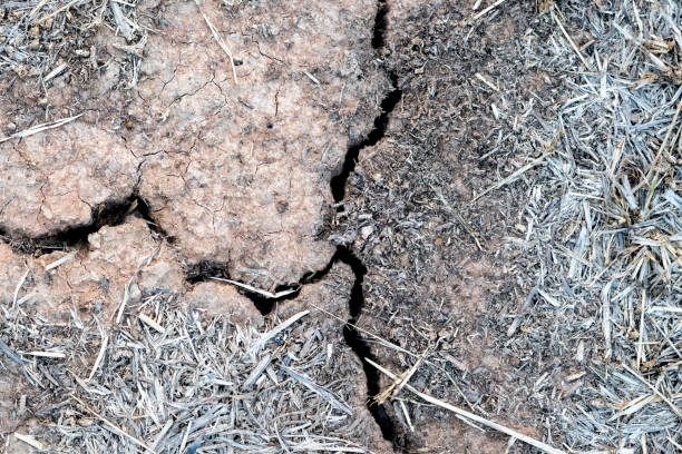 istock Cracked earthquake on arid weather 1131571204