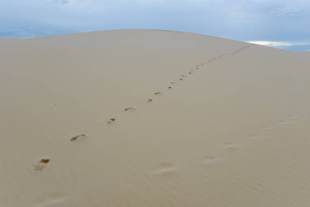 istock Dunes at Lencois Maranhenese National Park, Brazil 1131571756