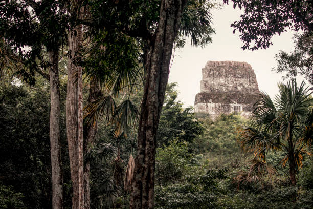 istock temples of tikal in Guatemala 1131571985