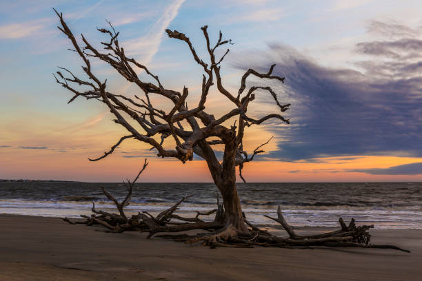 istock Sunrise - Jekyll Island, Georgia 1131573194