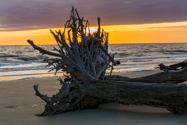 istock Sunrise - Jekyll Island, Georgia 1131573223
