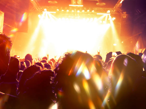 istock Music festival crowd 1131574921