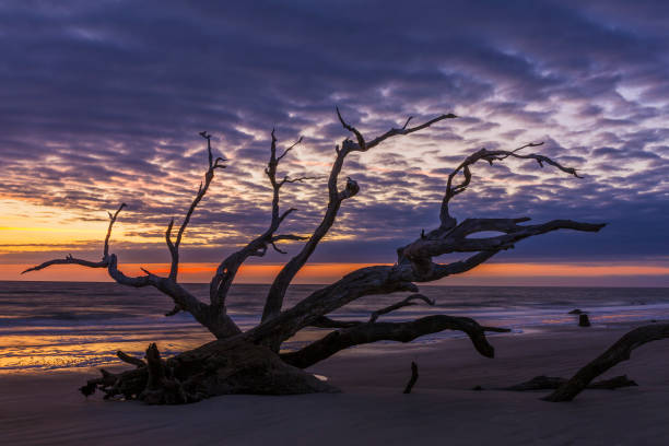 istock Sunrise - Jekyll Island, Georgia 1131574965