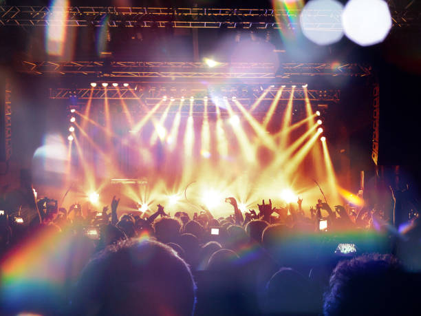 istock Music festival crowd 1131575009