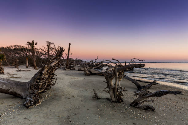 istock Sunrise - Jekyll Island, Georgia 1131575074