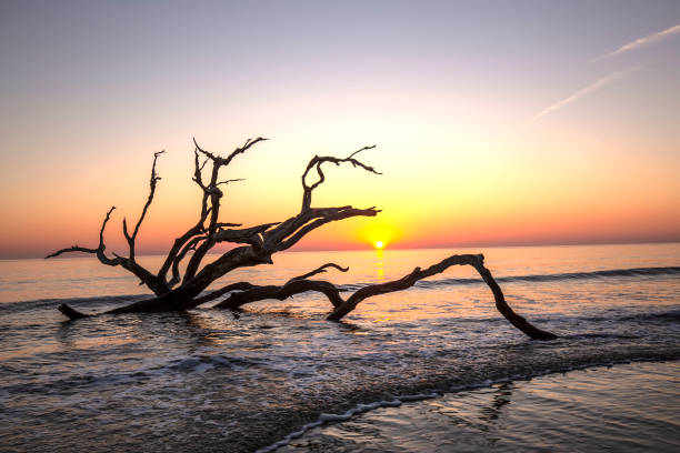 istock Sunrise - Jekyll Island, Georgia 1131575237