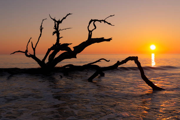 istock Sunrise - Jekyll Island, Georgia 1131575453