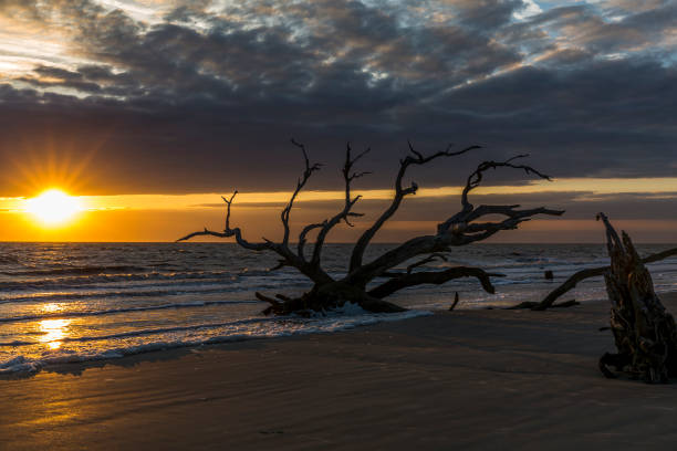 istock Sunrise - Jekyll Island, Georgia 1131576137