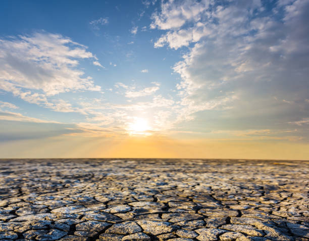 istock saline dry land in a crack at the sunset 1131576486