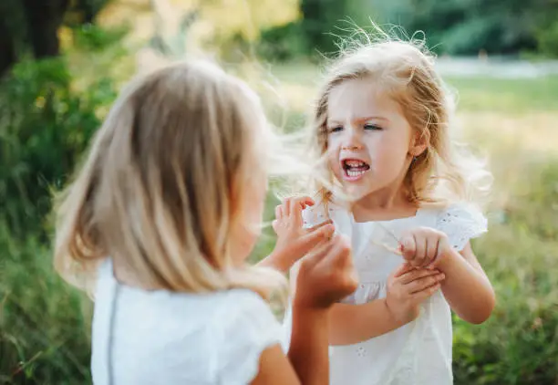 Photo of Two small angry girl friends or sister outdoors in sunny summer nature, pulling hair.
