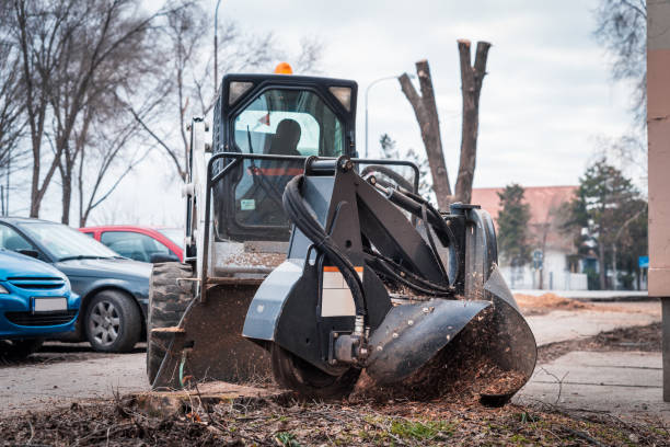 istock working mobile machine for cutting wood tree stump, tree stump removal 1131579638