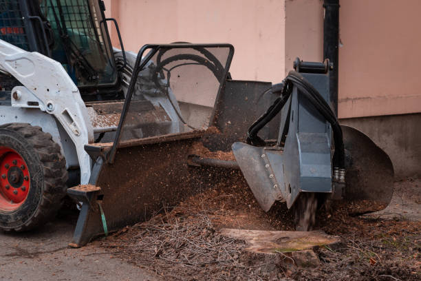 istock working mobile machine for cutting wood tree stump, tree stump removal 1131579717
