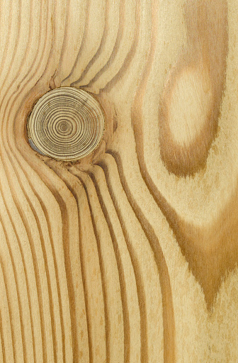 Textura en madera marrón photo