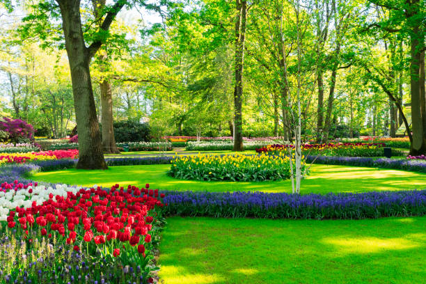 istock fresh lawn with flowers 1131583108