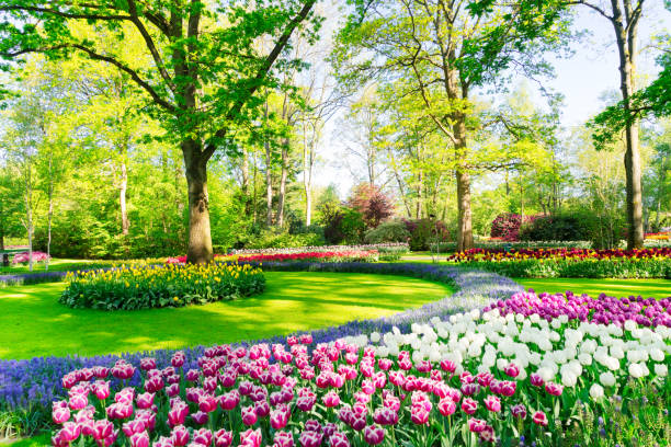istock fresh lawn with flowers 1131585285