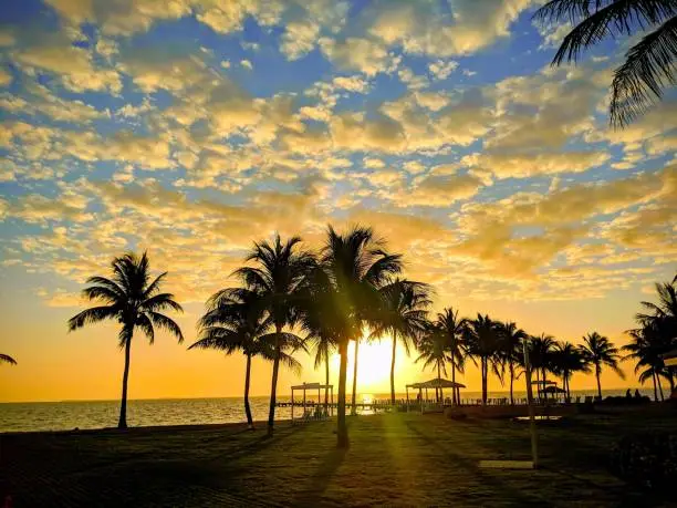 Photo of Brilliant sunrise with palm trees