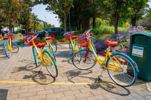 bicicletas do google estacionadas pelo google office - looking at view searching looking sea - fotografias e filmes do acervo