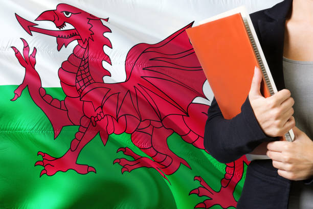 aprendiendo el concepto del idioma galés. mujer joven de pie con la bandera de gales en el fondo. profesor sosteniendo libros, cubierta anaranjada del libro en blanco. - welsh flag flag welsh culture all european flags fotografías e imágenes de stock