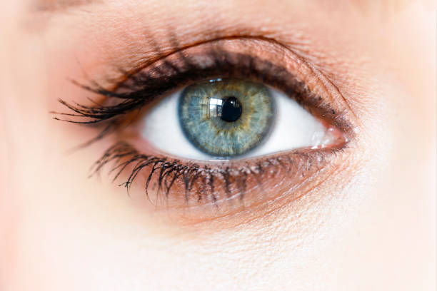 istock Beautiful green eye close up 1131593158