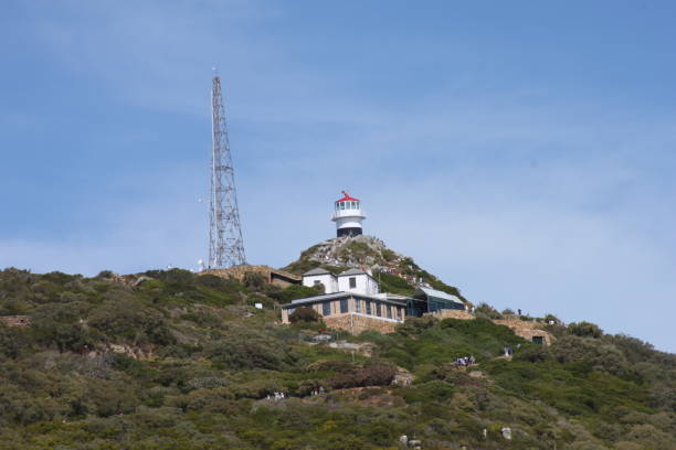 istock Cape Point South Africa 1131593448