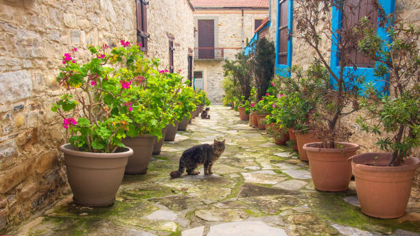 istock Cyprus street 1131593637