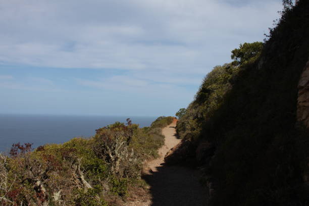 istock Cape Point South Africa 1131593691