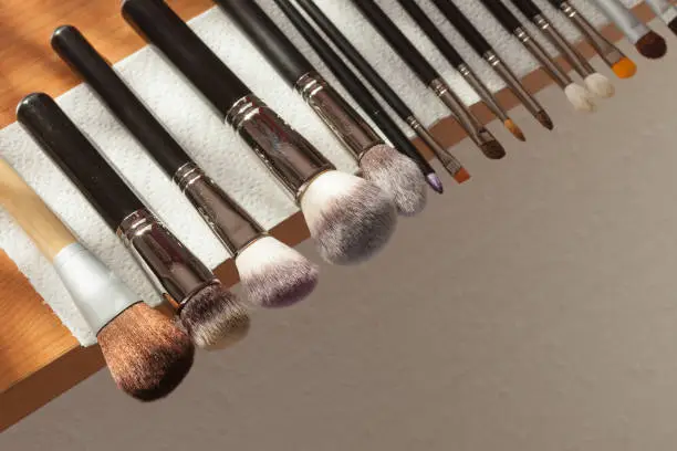 Beauty and makeup. Set of wet professional make up brushes after washing is drying