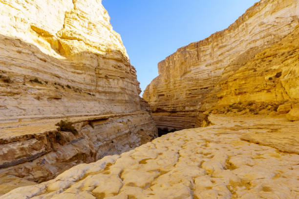 istock Canyon of Ein Avdat National Park, the Negev Desert 1131594765