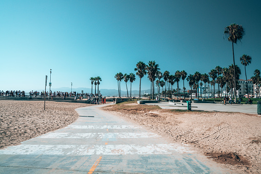 Beautiful summer day at the Venice beach district in LA with people skating, chilling under the palms and shopping. Summer vibes and spirit in LA.