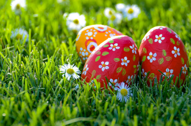 istock Easter eggs lying on green spring grass along with Bellis flowers. Space for text 1131599647