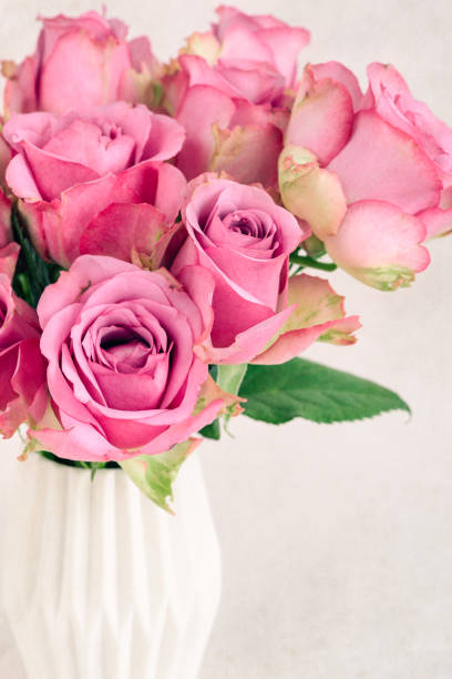 istock Pink roses in a vase 1131599992