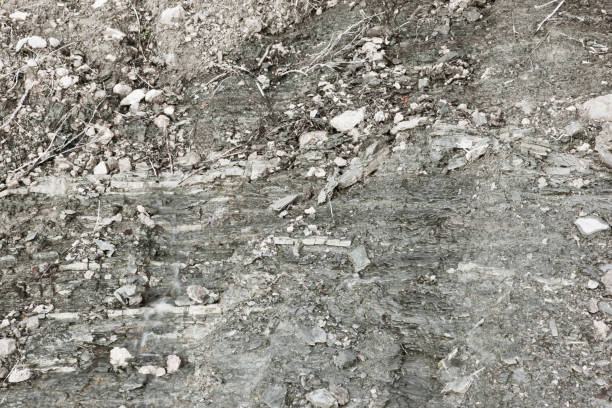 Photograph of texture limestone that can be used for mockups, design, art and patterns, background and textures.