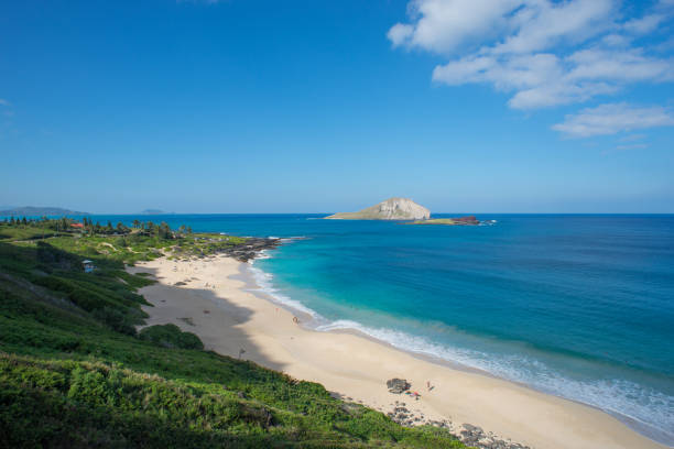 istock Makapu'u Beach in Oahu Hawaii USA 1131601612